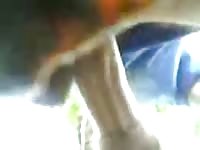 Fuck Bitch In Forest GayBeast.com - Men Fucks Pet