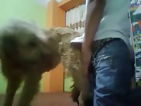 Fuck Carlitos GayBeast.com - boy Fucks Pet