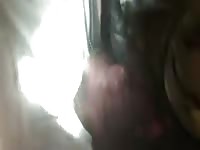 Fuck Dog 14 GayBeast.com - Zoophilia Dude