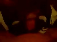 Fuck Dog 17 GayBeast - Animal Porn Video With Man