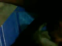 Fuck Dog In Home GayBeast - Beastiality Men