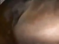 Fuck Mare 9 GayBeast.com - Beastiality Dude