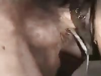 Fuck Mare Pussy 1 GayBeast - boy Fucks Animal