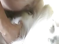 Fuck My Pet Gay Beast Com - Bestiality Boy