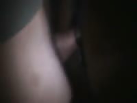Fuck Night GayBeast.com - Beastiality Dude