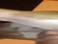 Fuck Perra GayBeast - Beastiality Men- Beastiality Porn Video With Dude