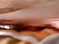 Fuck Pig 7 GayBeast Rip - Bestiality Man- Beastiality Sex Video With Man