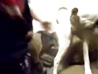 Fuck White Small Bitch GayBeast Rip - Bestiality Porn Tube With Men