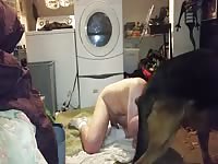 Fucked Silly GayBeast Rip - Bestiality Boy