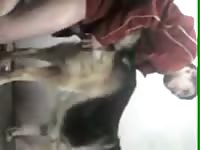 Fuckin Hard GayBeast.com - Man Fucks Animal