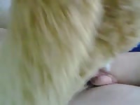 Fucking A Big Plush Gay Beast Com - Beastiality Men