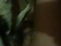 Fucking A Bitch GayBeast.com - boy Fucks Animal