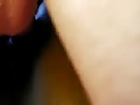 Fucking And Cumming In My Mare GayBeast Rip - Men Fucks Pet