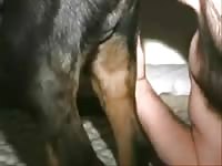 Fucking Dog Ass GayBeast.com - Men Fucks Pet