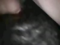 Fucking Dog GayBeast.com - Dude Fucks Pet