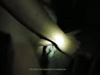 Fucking Dog In The Night GayBeast.com - Bestiality Dude