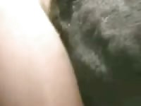 Fucking Goat GayBeast.com - Beastiality Boy