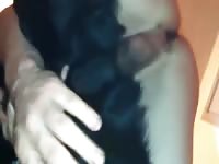 Fucking Male Stray Black Lab GayBeast.com - Animal Porn Video With Man
