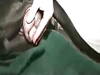 Fucking My Bitch Bareback On Bed GayBeast Rip - Bestiality Dude