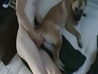 Fucking My Dogs Pussy Gay Beast Com - Dude Fucks Pet