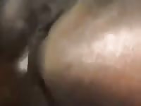Fucking My Horse Good GayBeast.com - Bestiality Man