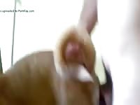 Fucking On The Chair GayBeast.com - Beastiality Man