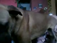 Fucking The Boy Gay Beast Com - Men Fucks Pet