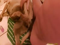 Fucking The Yellow Bitch Gay Beast Com - boy Fucks Pet