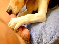 Fun With Dick GayBeast.com - boy Fucks Animal