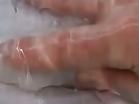 Fun With Dolphin Pussy GayBeast.com - Zoophilia Dude