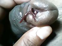 Fun With Earthwarms Gay Beast Com - Animal Sex With Man