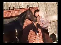Fun With Two Stallion GayBeast.com - Man Fucks Animal