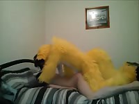 Furry Fun Yiff Yiff Gay Beast Com - Men Fucks Animal