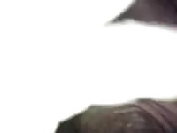 Gay Boar Fuck GayBeast - Beastiality Porn Video With Men