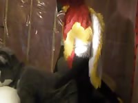 Gay Fursuit Sex GayBeast - Animal Dude