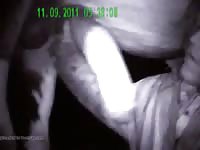 Gay Horse Suck Fuck Man Gay Beast Com - boy Fucks Pet