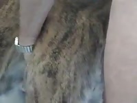 Gay Man Fucks Dane 2 Sound Missing