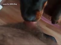 GayBeast.com 1324 3 - Man Fucks Animal- boy Fucks Animal