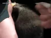 Gay Beast Com 2107 - Bestiality Porn Movie With Men- Men Fucks Animal