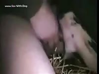 GayBeast 221cow Sex - Man Fucks Animal- Bestiality Sex With Man