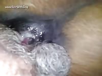 GayBeast.com 2335 My Lady - Man Fucks Pet- Beastiality Porn Tube With Man
