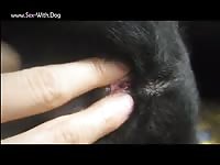 GayBeast Aluzky Fingering A Bitch - Dude Fucks Pet- Bestiality Dude