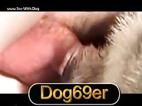 GayBeast Bang Fem Dog And Cum - Beastiality Dude- Men Fucks Pet