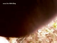 GayBeast Rip Beautiful Mare - Animal Porn Tube With Dude- Men Fucks Animal