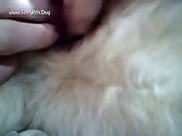 GayBeast.com Bitch Pussy - Beastiality Men- Animal Men