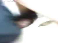 Gay Beast Com Cuming Inside - Bestiality Man- Man Fucks Animal