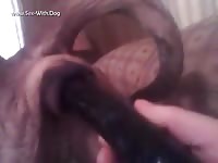 GayBeast Rip Deep Usage Of 1654 - Bestiality Man- Man Fucks Animal