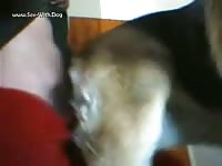 GayBeast Rip Dog Femele Funk - Men Fucks Animal