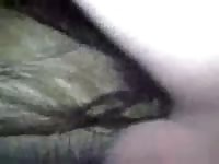 GayBeast Rip Fucking A Wet Mare Pussy Gay Zoo Porn Petlust Men Fuck Animals- Bestiality Sex With Dude