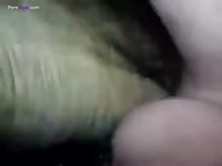 GayBeast Rip Fucking A Wet Mare Pussy